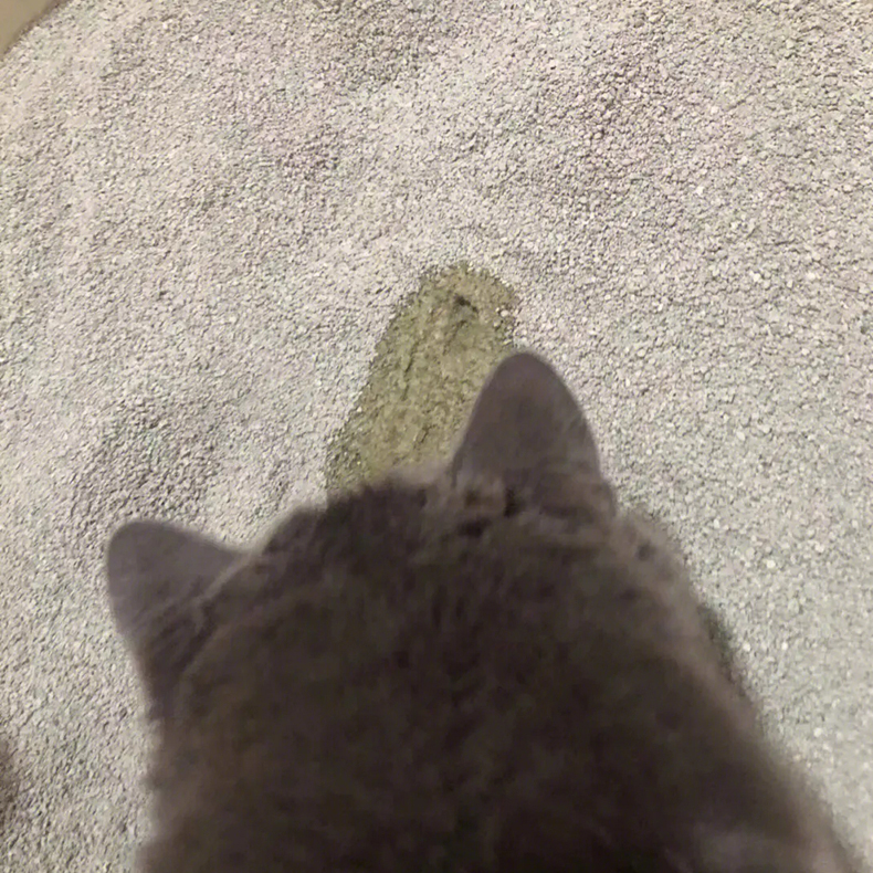 猫砂1.jpg
